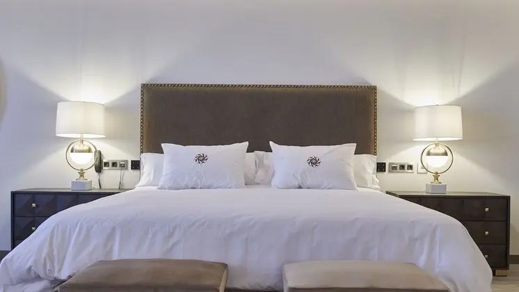 Deluxe Tek Büyük Yataklı Oda (Ansares Premium)