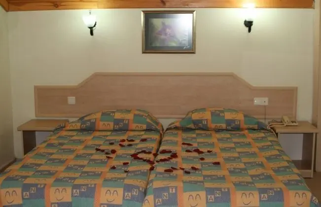 Standard Apart Daire, 1 Yatak Odası
