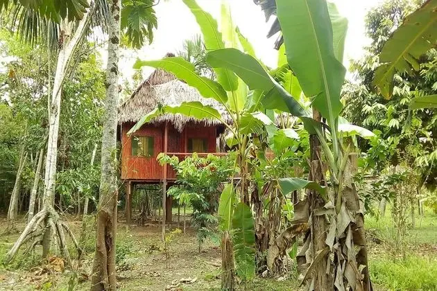 Tek Büyük Yataklı Oda, 1 Çift Kişilik Yatak