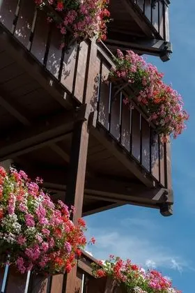 Classic Dört Kişilik Oda