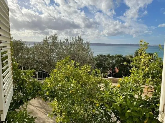 Apart Daire (Ante - 200 m from beach - A2(4+2))