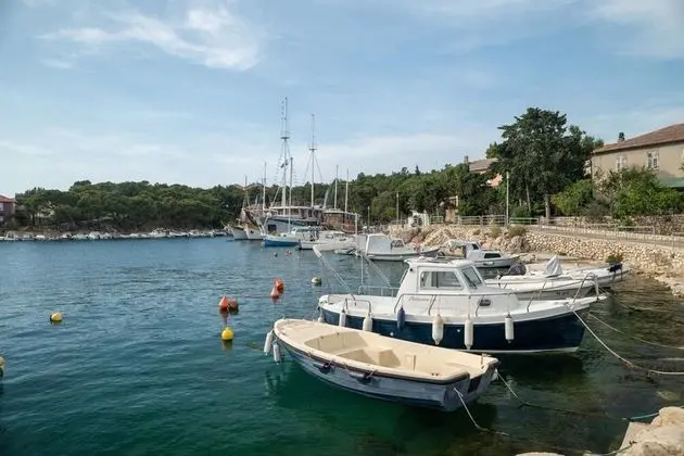 Apart Daire (Ante - comfortable & free parking - A)