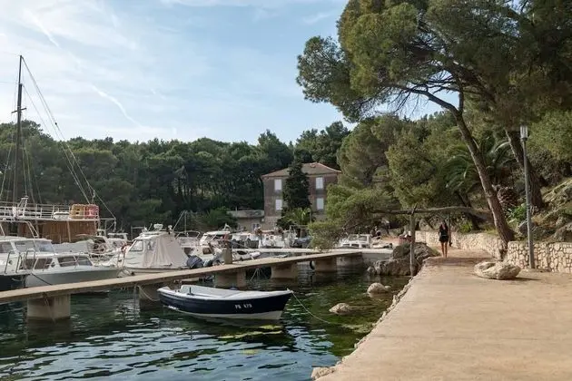 Apart Daire (Ante - comfortable & free parking - A)