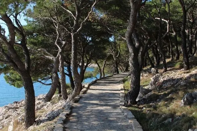 Ev (Ante - spacious & close to the sea - )