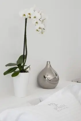 Suite with Infinity Private Pool, Caldera View