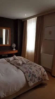 Executive Tek Büyük veya İki Ayrı Yataklı Oda, Banyolu/Duşlu