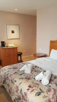 Executive Tek Büyük veya İki Ayrı Yataklı Oda, Banyolu/Duşlu