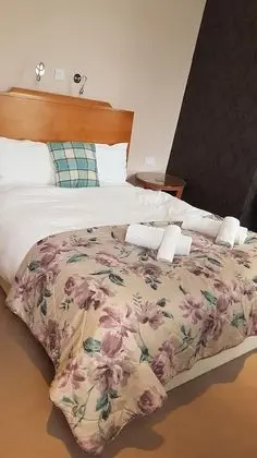 Executive Tek Büyük veya İki Ayrı Yataklı Oda, Banyolu/Duşlu