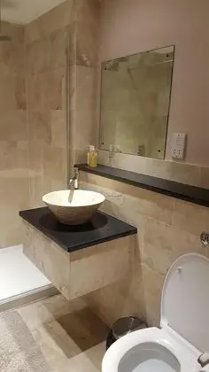 Executive Tek Büyük veya İki Ayrı Yataklı Oda, Banyolu/Duşlu