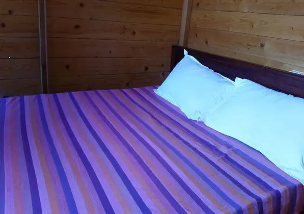 Deluxe Room with Air condition and Private Bathroom
