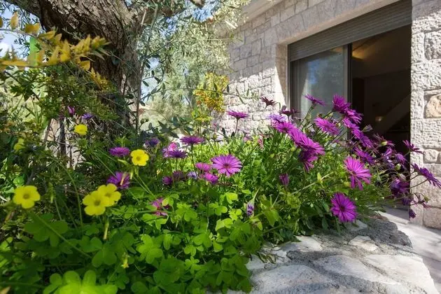 Family Çatı Katı (Loft)