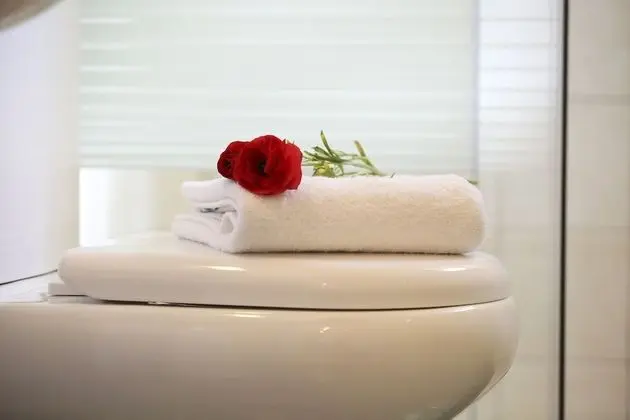 Luxury Villa, 3 Yatak Odası
