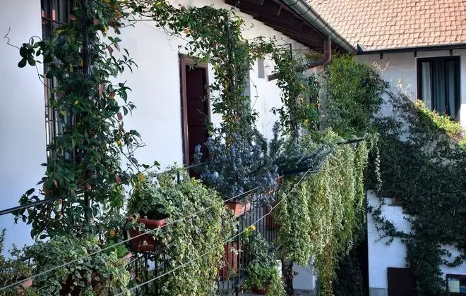 Oda, 1 Yatak Odası, Mikrodalga