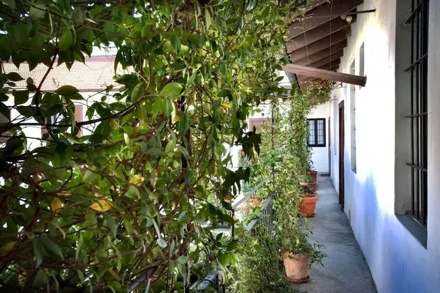 Oda, 1 Yatak Odası, Mikrodalga