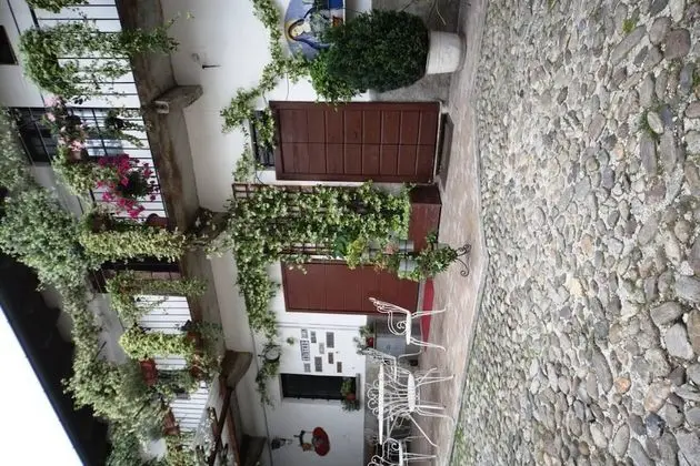 Oda, 1 Yatak Odası, Mikrodalga