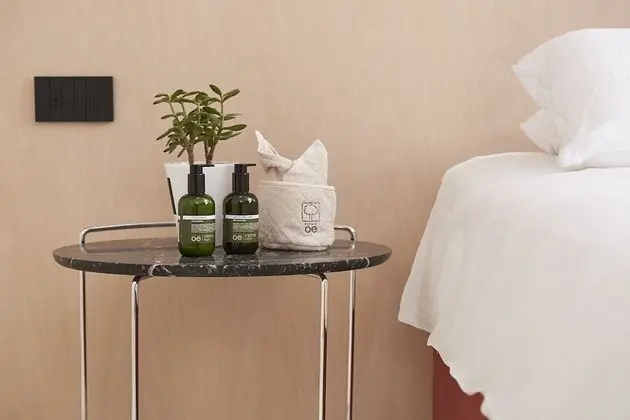 Deluxe Stüdyo Süit, Engellilere Uygun (Junior)