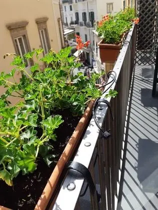 Junior Stüdyo Süit, 1 Yatak Odası, Balkon, Şehir Manzaralı