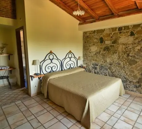 Comfort Tek Büyük Yataklı Oda, Okyanus Manzaralı, Bahçeli