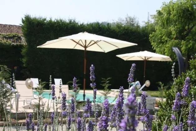 Superior Tek Büyük Yataklı Oda, Havuz Manzaralı