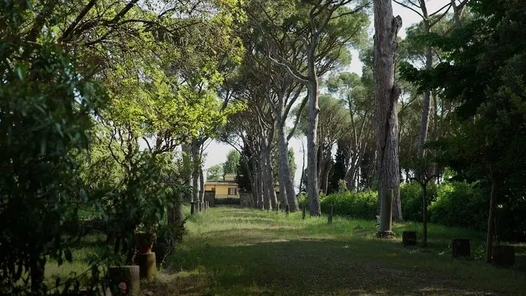 Apart Daire, 4 Yatak Odası