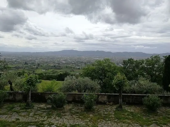 Economy Tek Büyük Yataklı Oda