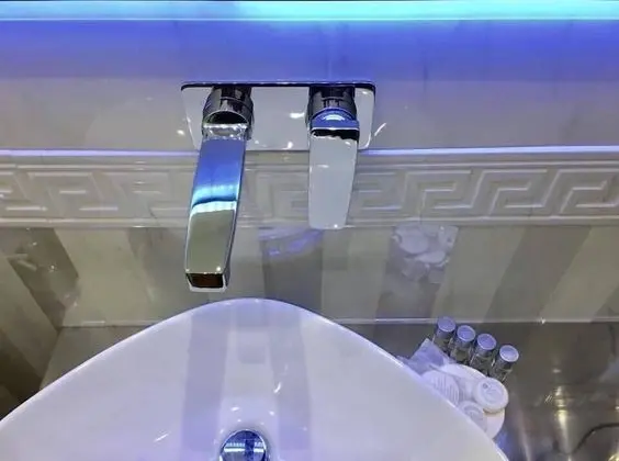 Deluxe Tek Büyük veya İki Ayrı Yataklı Oda, Balkon, Şehir Manzaralı