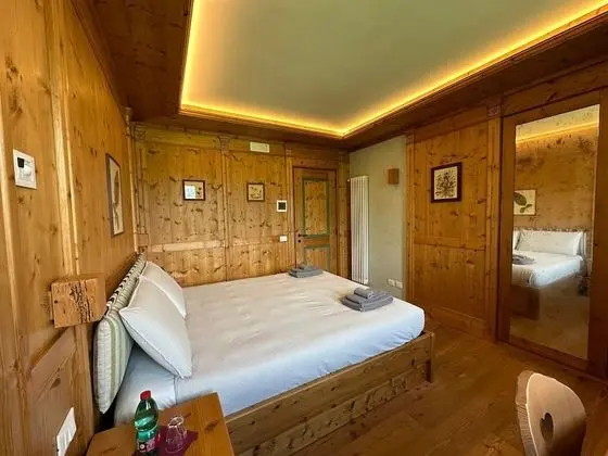 Business Tek Büyük Yataklı Oda, 1 En Büyük (King) Boy Yatak, Dağ Manzaralı (two)