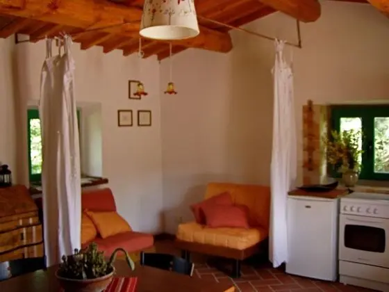 Apart Daire, 1 Yatak Odası, Mutfak