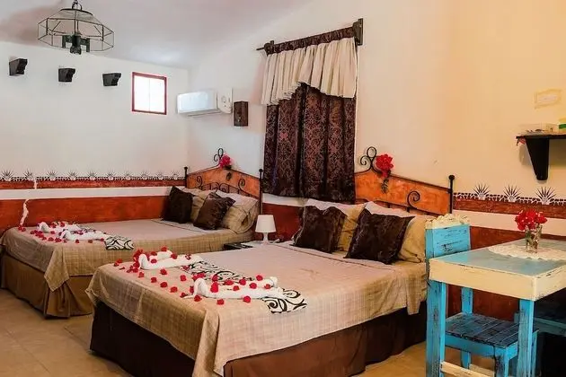 Oda, 1 Yatak Odası, Teras