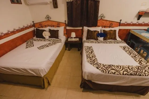 Economy Apart Daire, 1 Yatak Odası, Küçük Mutfak, Zemin Kat