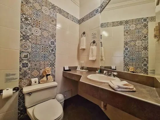 Single Traditional Room