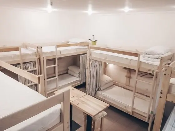 Basic Ortak Ranzalı Oda, Karma Ranzalı Oda (1 bed in 8 beds room)