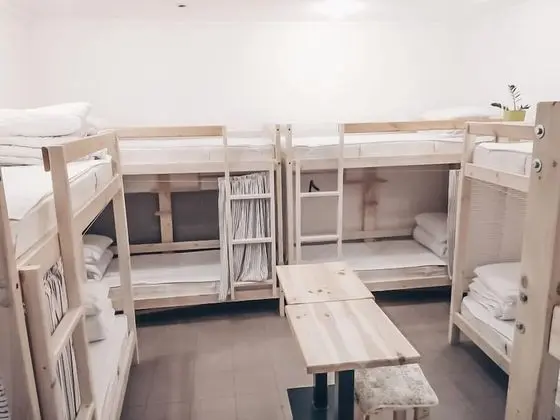 Basic Ortak Ranzalı Oda, Karma Ranzalı Oda (1 bed in 8 beds room)