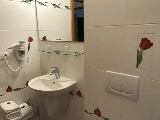 Deluxe Tek Büyük Yataklı Oda, Bahçe Manzaralı (Double room 006)