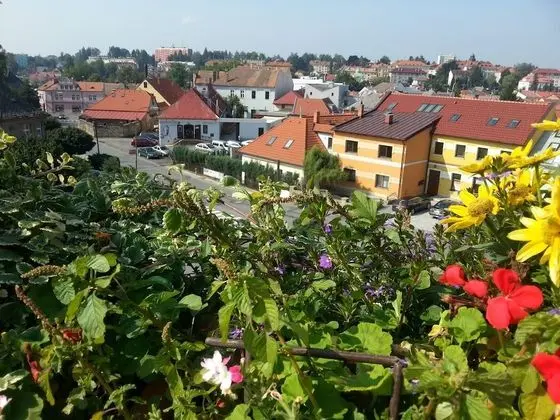 Presidential Apart Daire, 2 Yatak Odası, Veranda, Şehir Manzaralı (Suite 10)