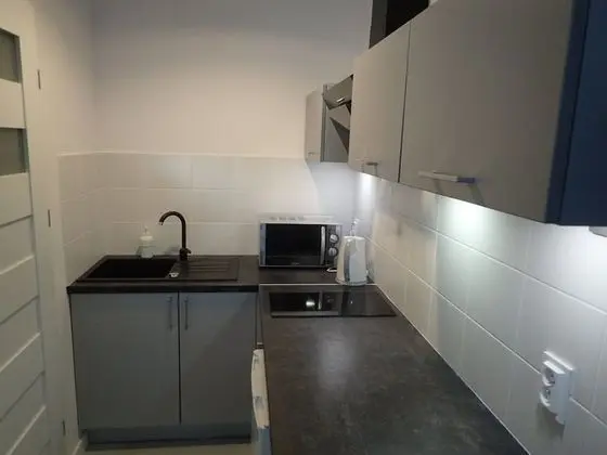 Standard Stüdyo Süit, 1 Yatak Odası, Küçük Mutfak, Şehir Manzaralı (Apartament A1 Studio)