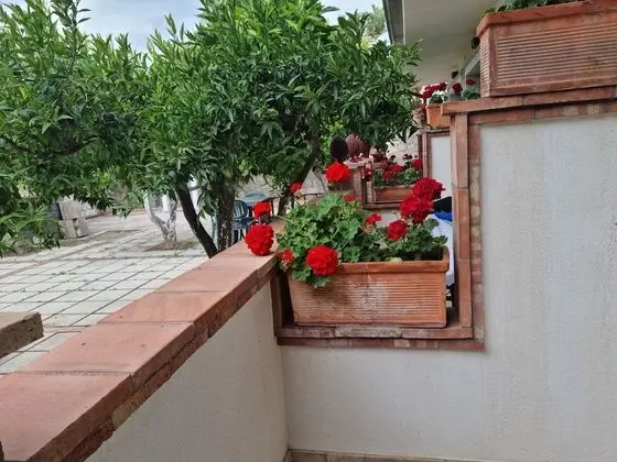 Superior Tek Büyük veya İki Ayrı Yataklı Oda