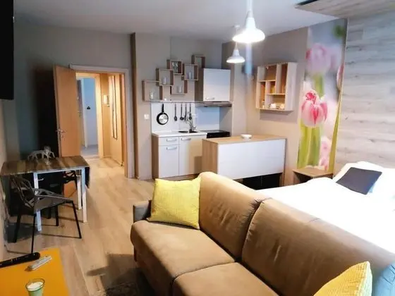 Apart Daire, 1 Yatak Odası, Balkon