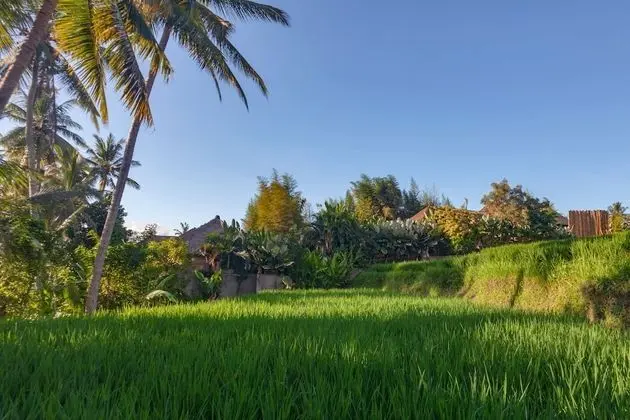 Deluxe Villa, 2 Yatak Odası