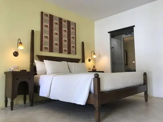 Premium Tek Büyük Yataklı Oda, 1 Yatak Odası, Bahçe Manzaralı