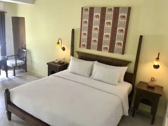 Premium Tek Büyük Yataklı Oda, 1 Yatak Odası, Bahçe Manzaralı