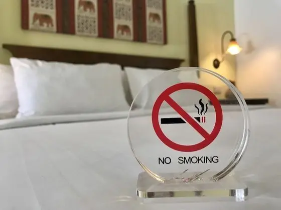 Premium Tek Büyük Yataklı Oda, 1 Yatak Odası, Bahçe Manzaralı