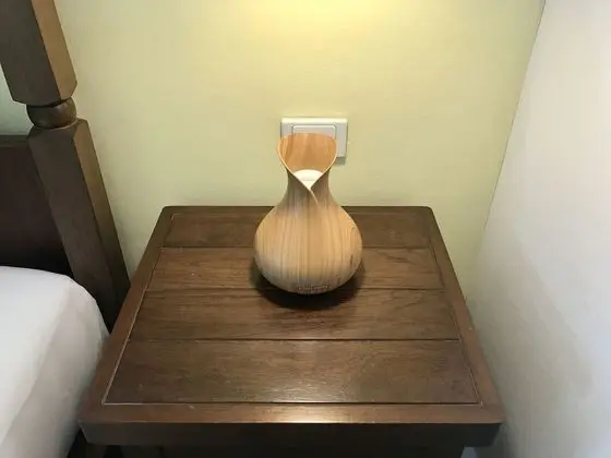 Premium Tek Büyük Yataklı Oda, 1 Yatak Odası, Bahçe Manzaralı