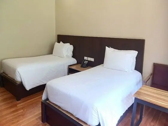 Deluxe Twin Room with Mountain View