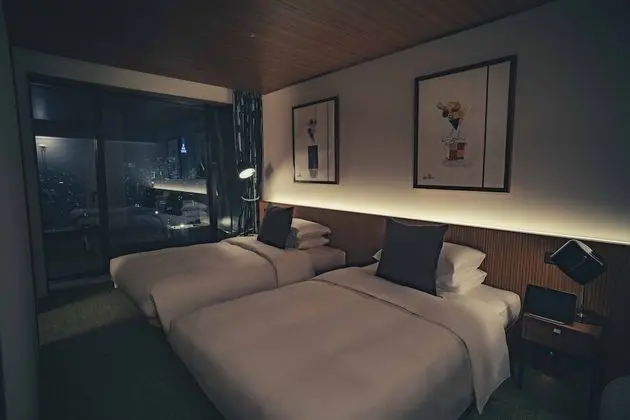 Deluxe İki Ayrı Yataklı Oda, Sigara İçilmez, Şehir Manzaralı