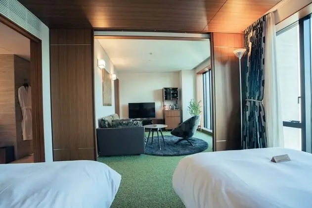 Deluxe İki Ayrı Yataklı Oda, Sigara İçilmez, Şehir Manzaralı