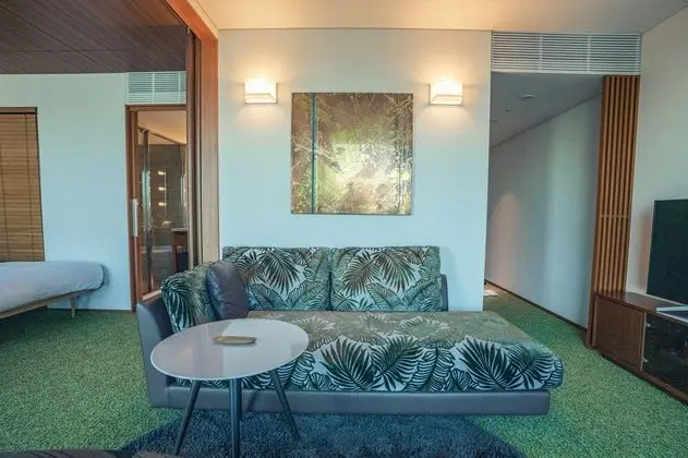 Deluxe İki Ayrı Yataklı Oda, Sigara İçilmez, Şehir Manzaralı