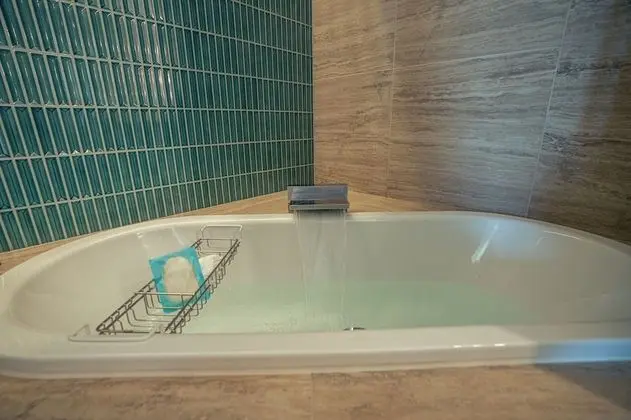 Deluxe İki Ayrı Yataklı Oda, Sigara İçilmez, Şehir Manzaralı