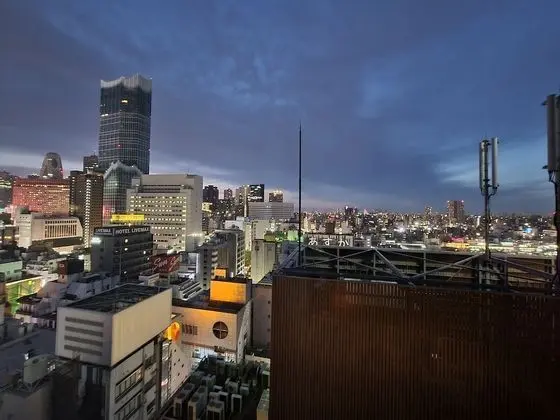 Standard Oda, Sigara İçilmez (MainTower,View,for 1PAX,17F or higher)