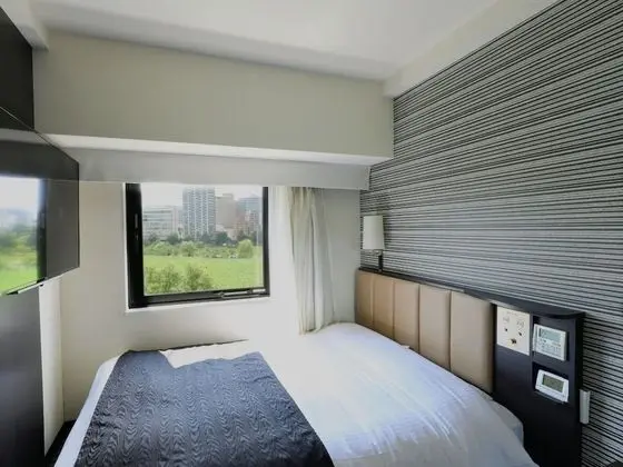 Basic Tek Kişilik Oda, Sigara İçilmez (Lake & City View)